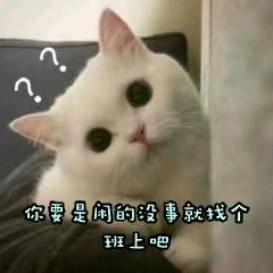 ᝰꫛꫀꪝ𐂂