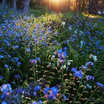 汪🌈后余💋生🥂🍷