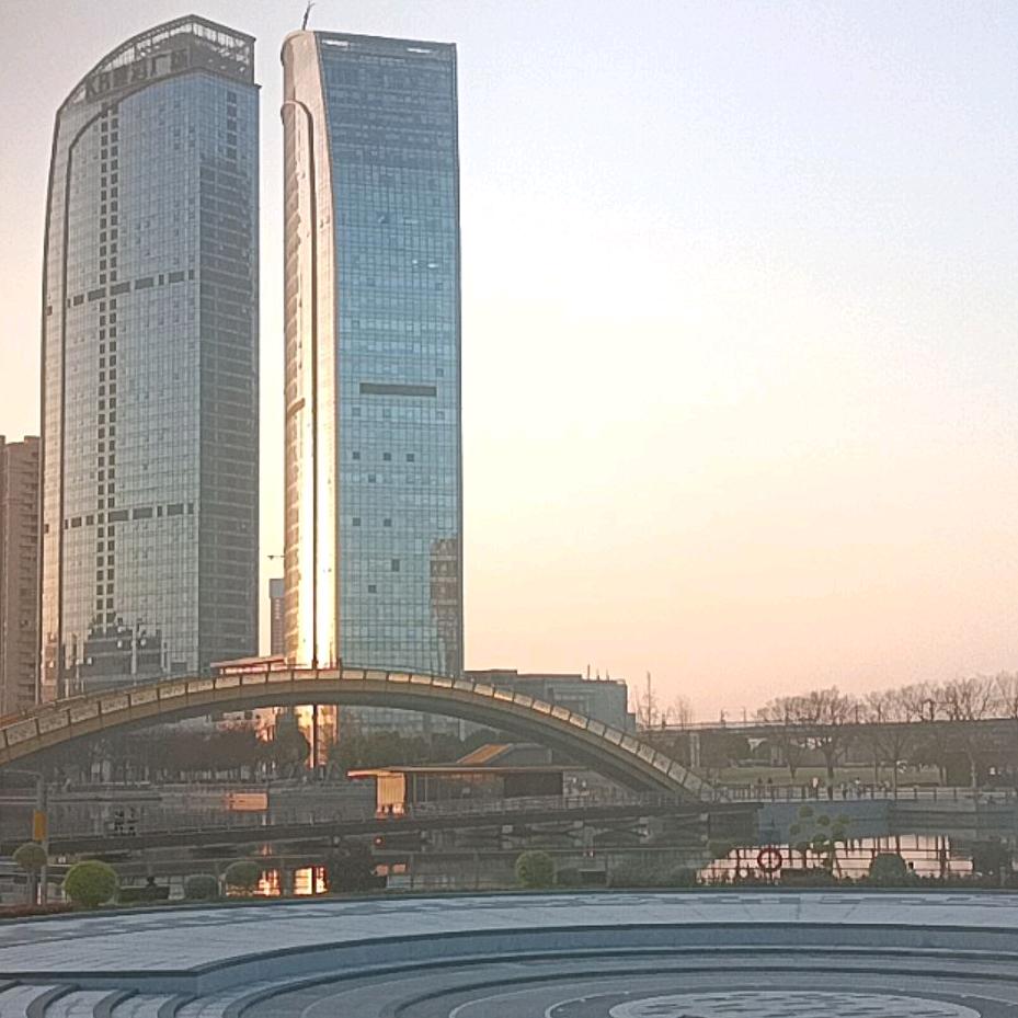 拼命的毛先生