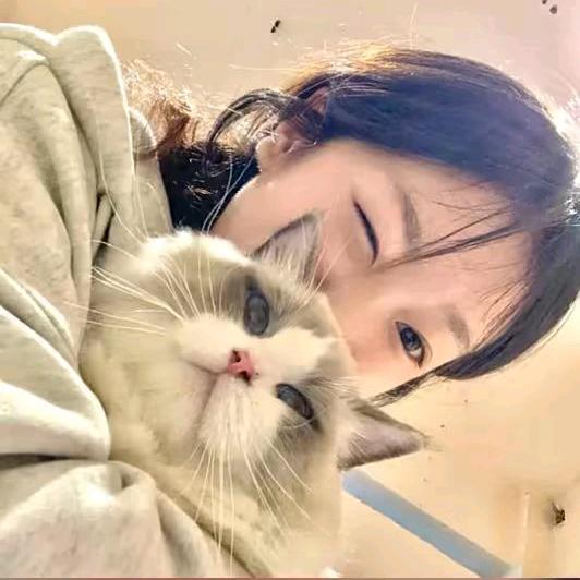 妳 好呆꒦ິ^꒦