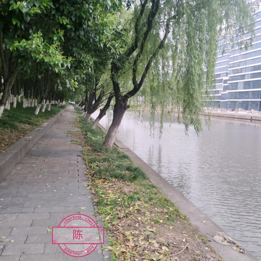 风雨之后