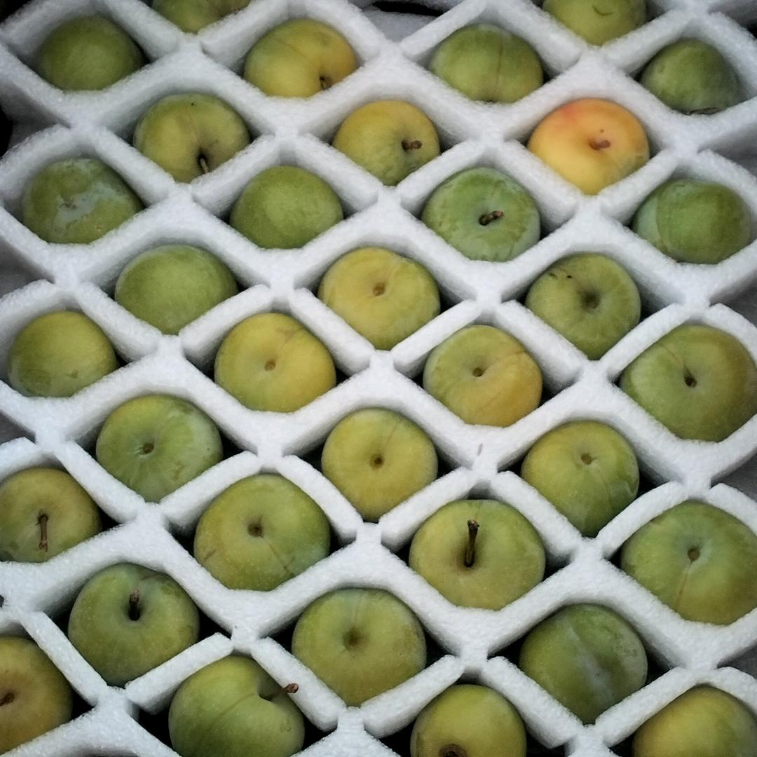 就是酸甜甜的味道