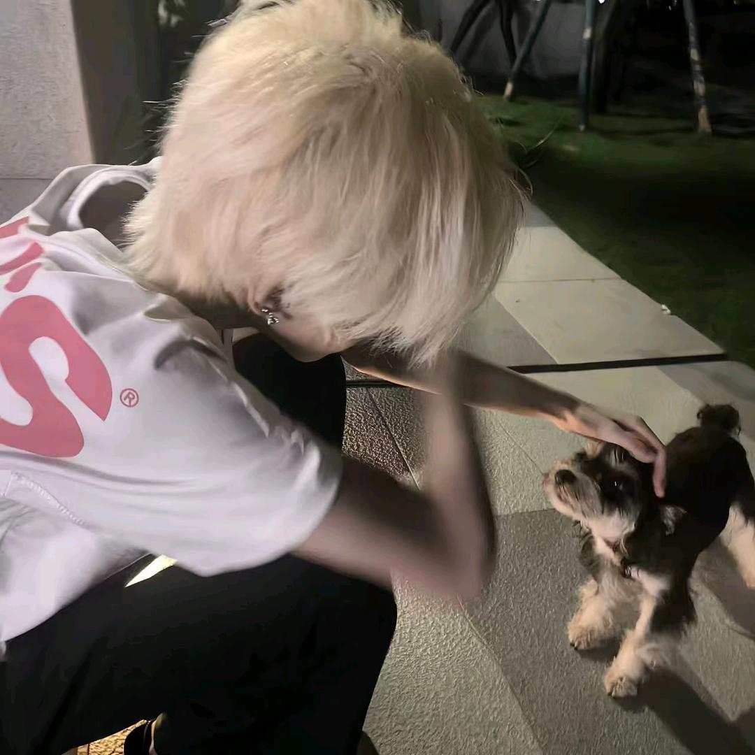 佳宝（地铁逃生）