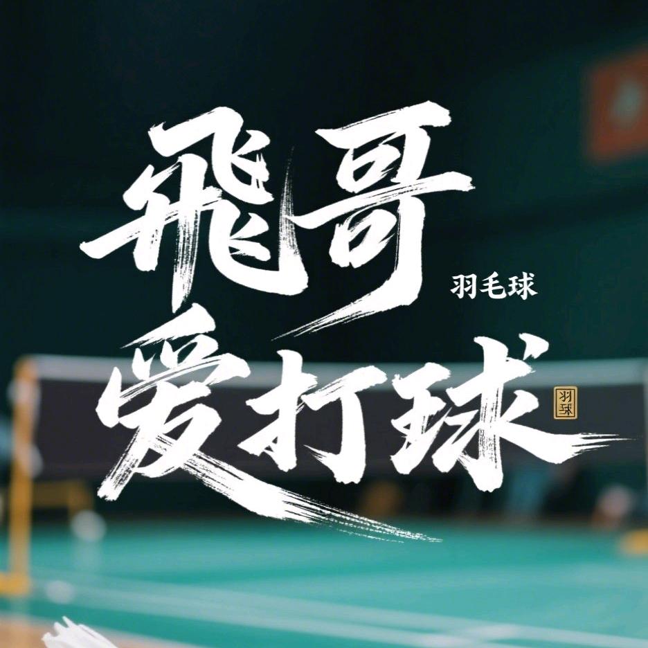 飞哥爱打球