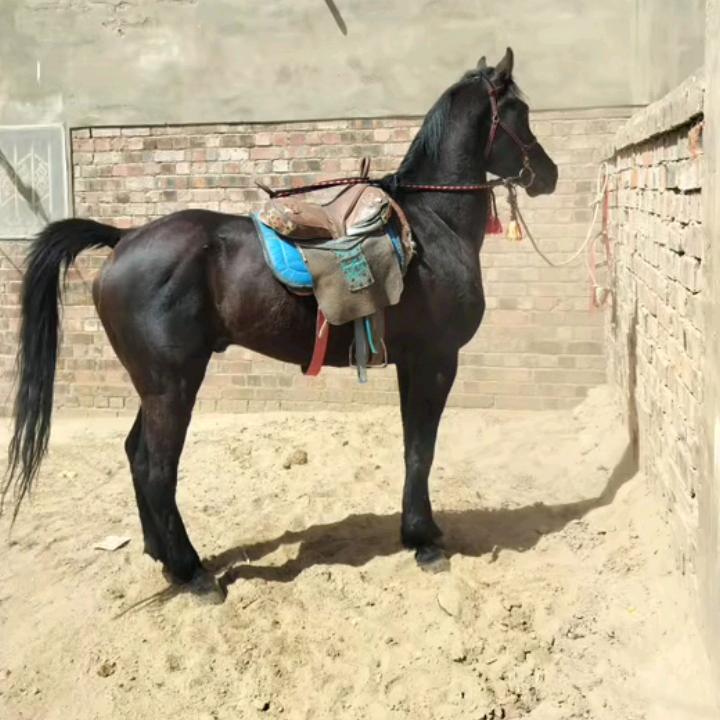 13999653844