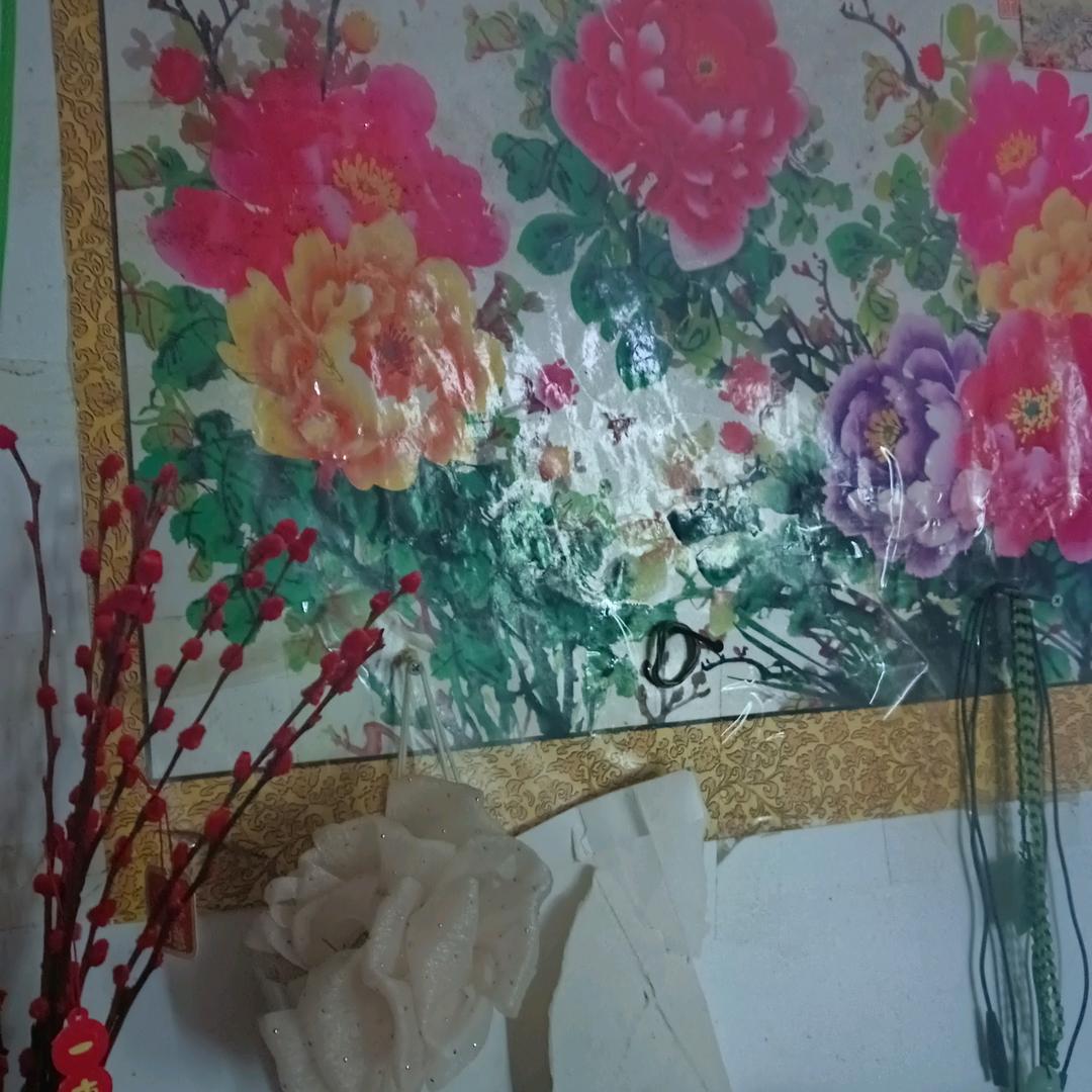 艺菲