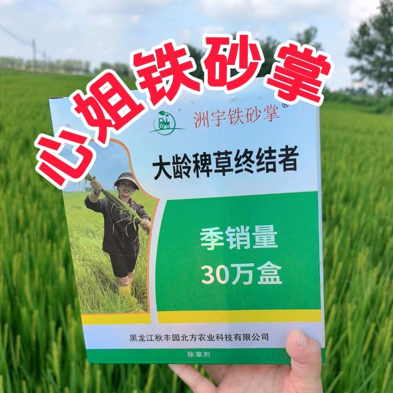 心姐铁砂掌