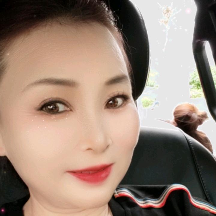 彩虹宠物狗