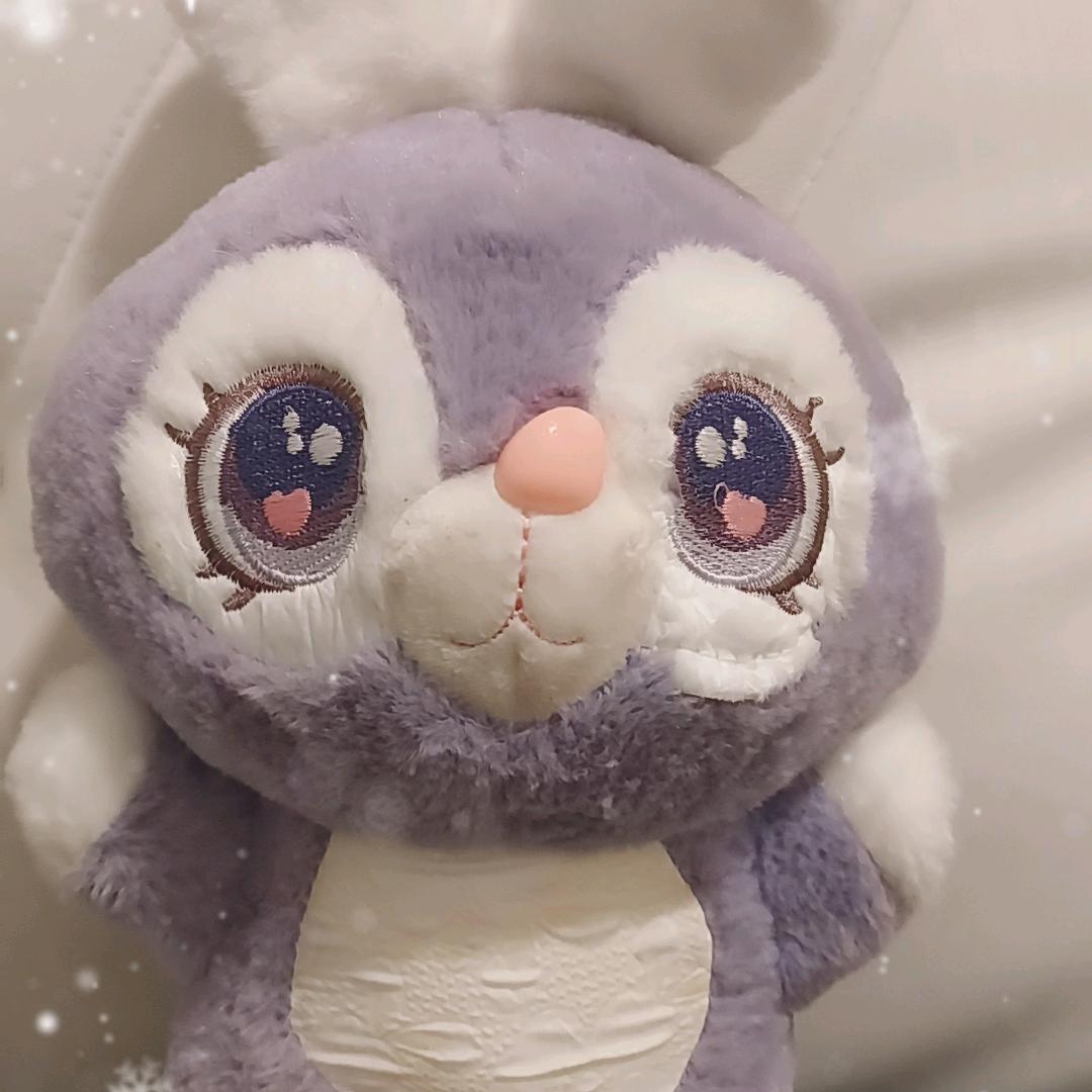 （小杨）唱歌，聊天，交友，