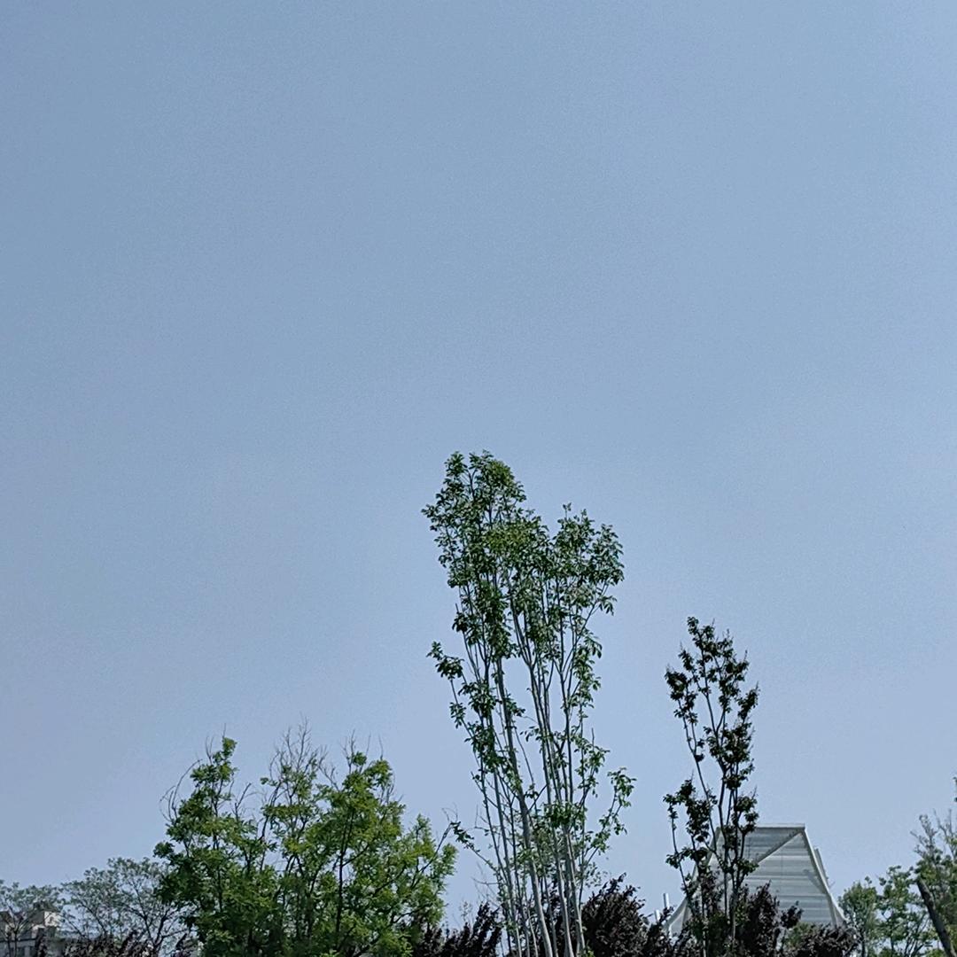 智慧人生