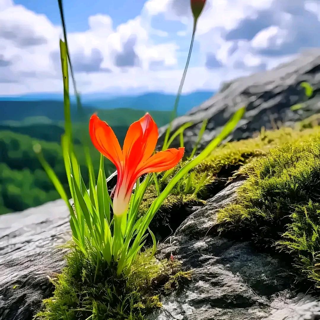 🦋ℒℴѵℯ蝶香花⁵²⁰℘࿐