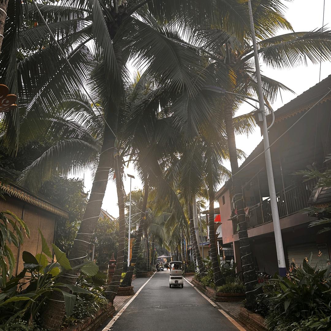 小久在版纳（旅游、包车、私家团定制）