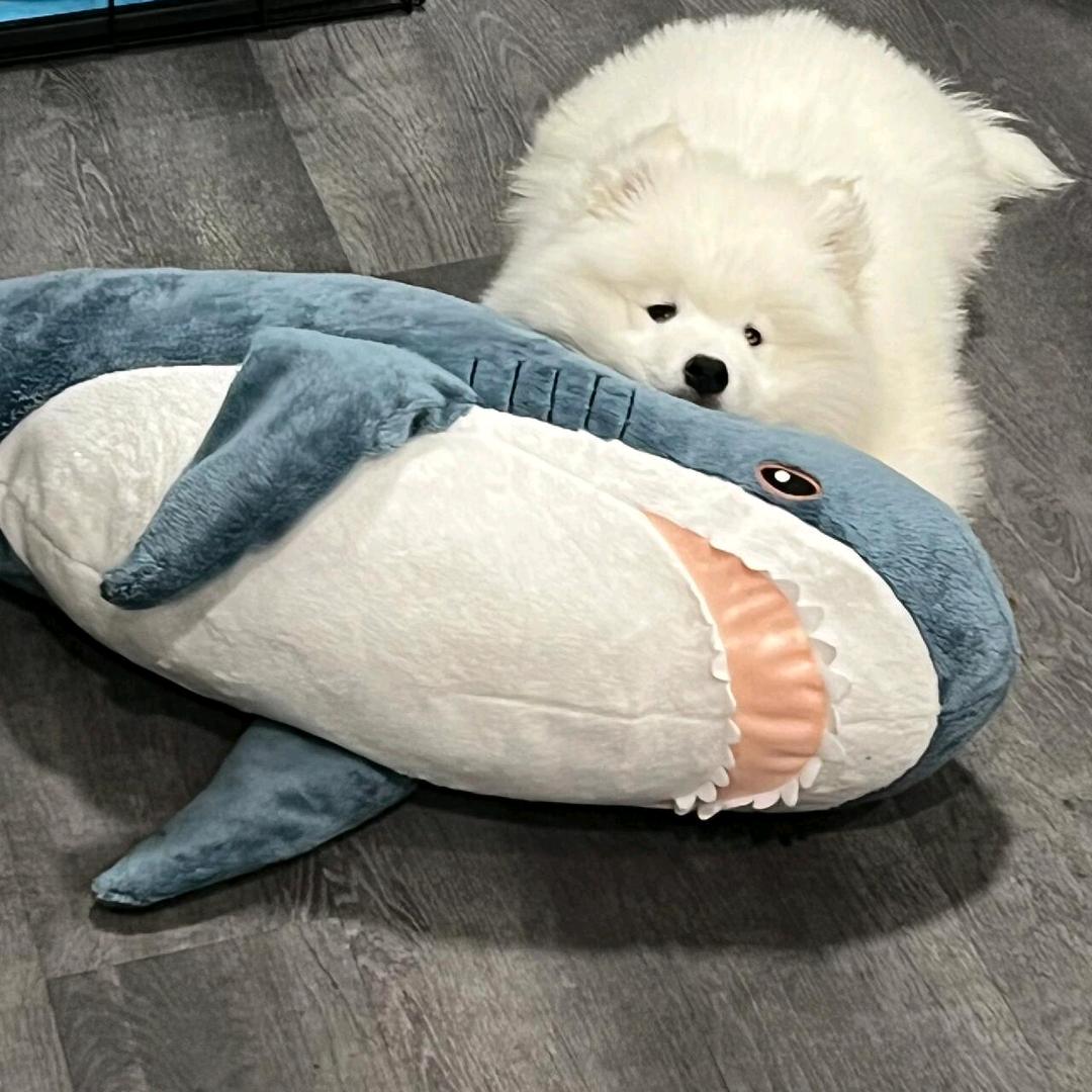 嚯哦