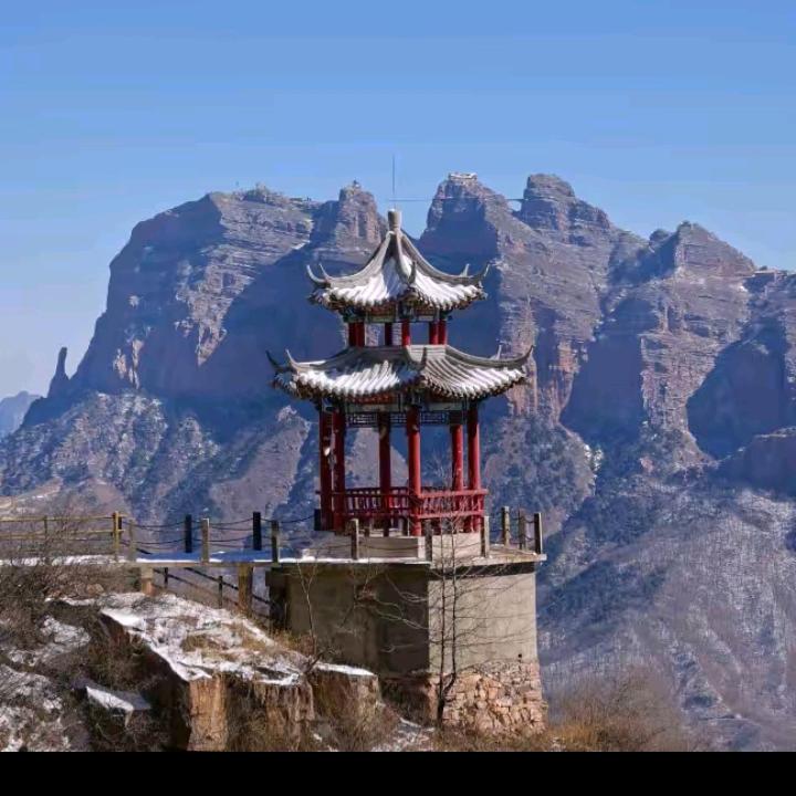 阳光玫瑰