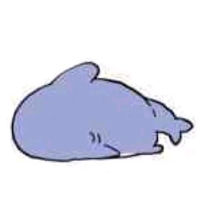 非常讨厌《代号鸢》和《如鸢》的小鲨鱼