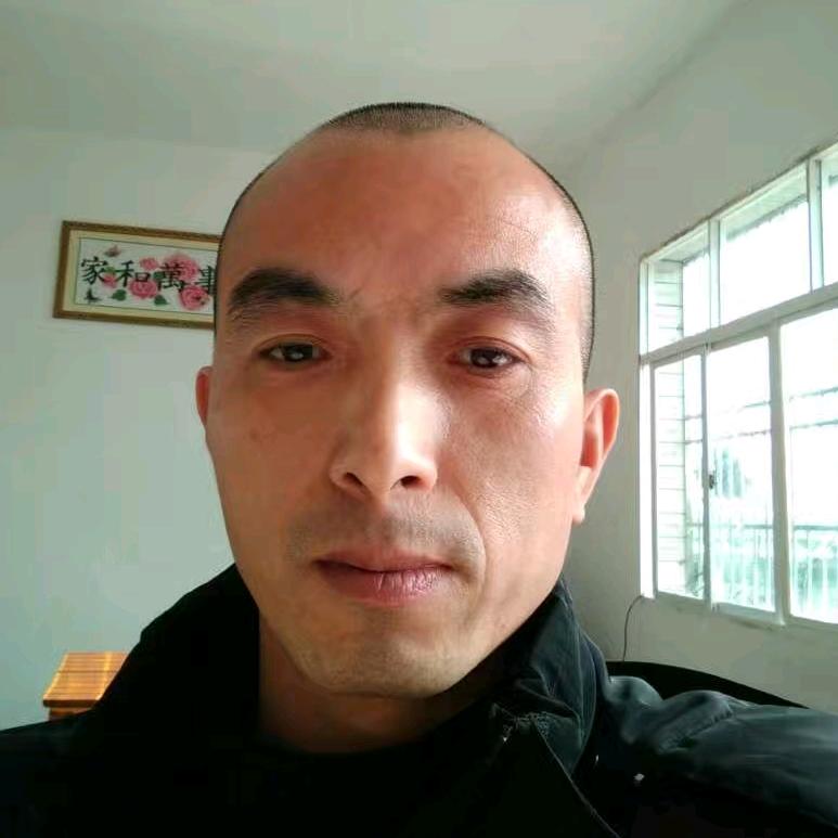 龙游天下