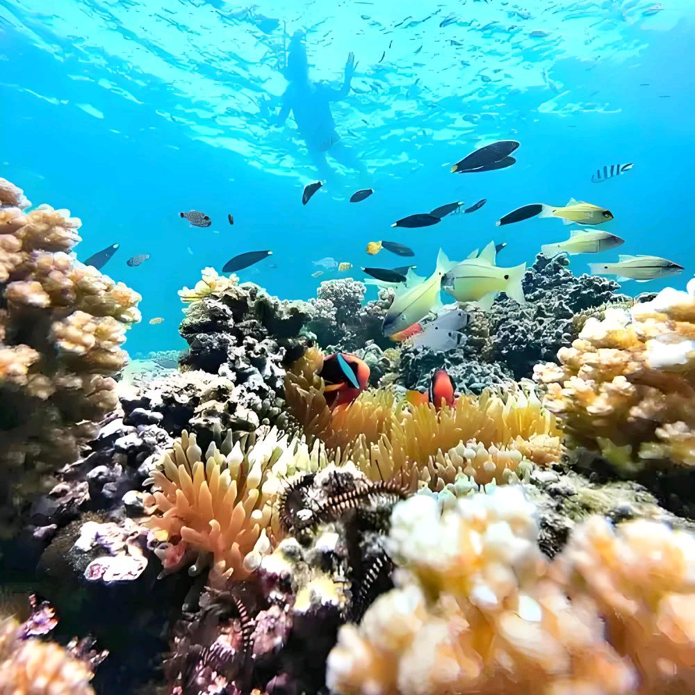 志愿规划张老师-知常
