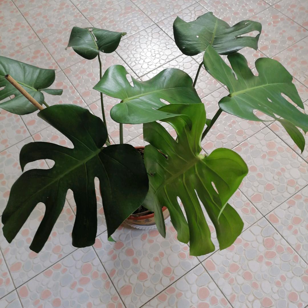 相知