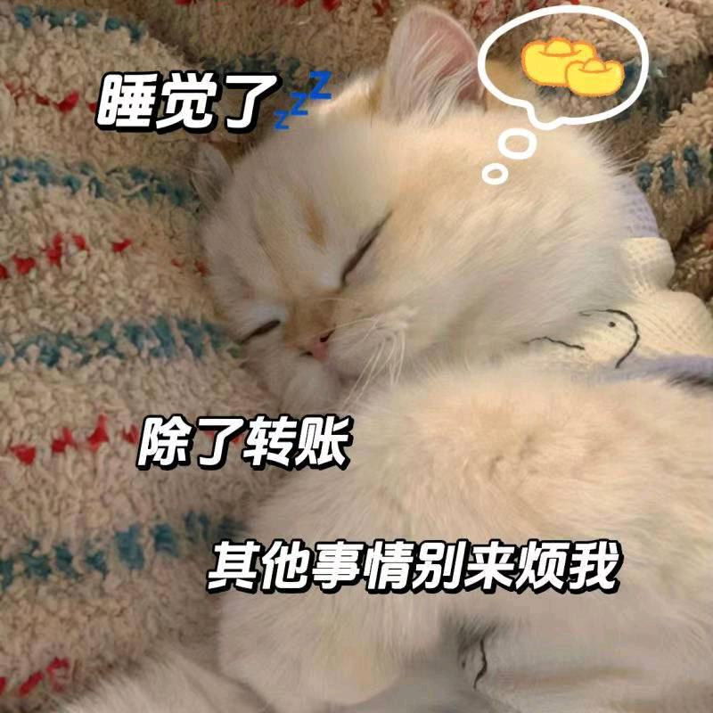 ᥫᩣᰱᐝᖇᴛ౽᭄🦋