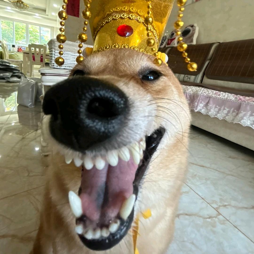 米糯