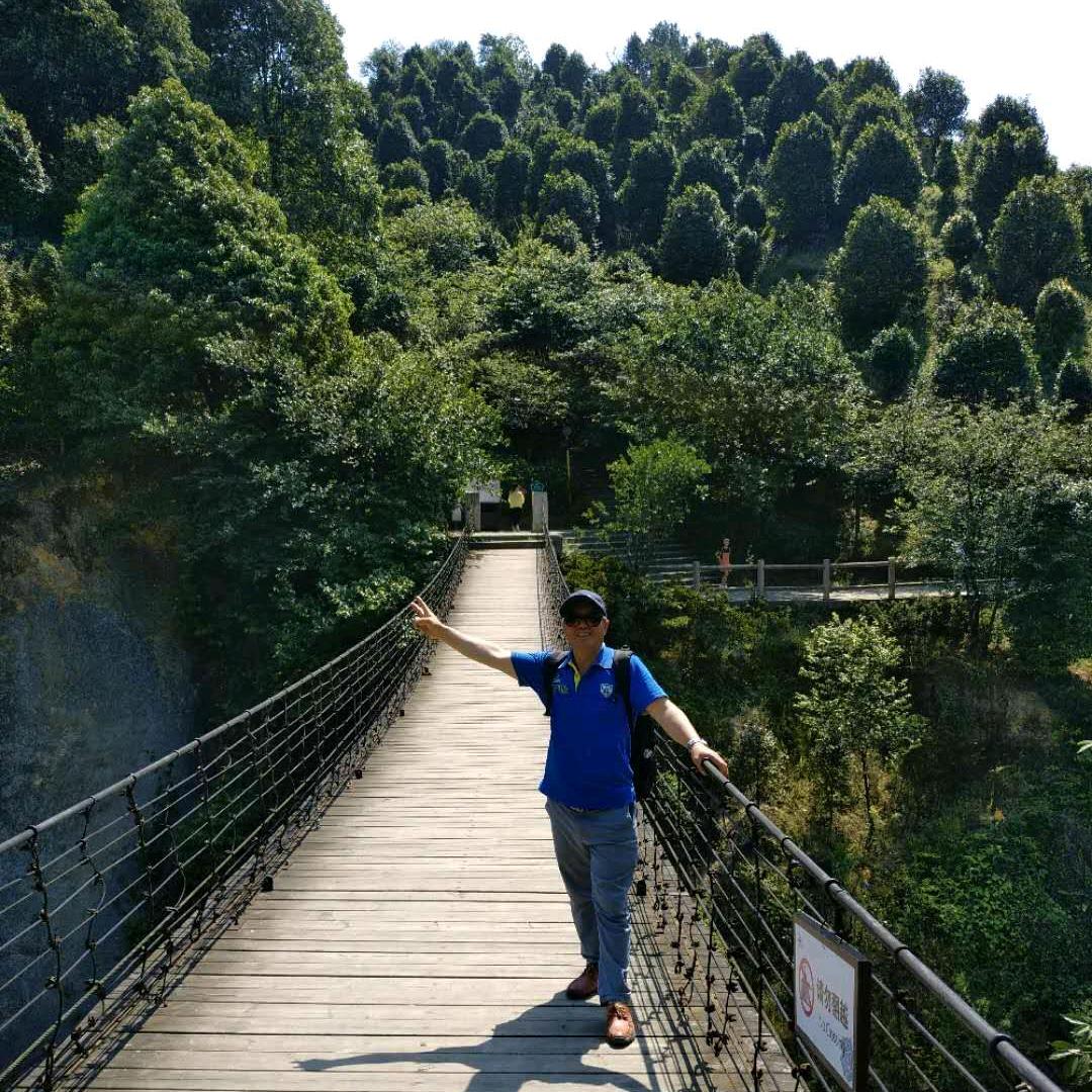 心向暖阳