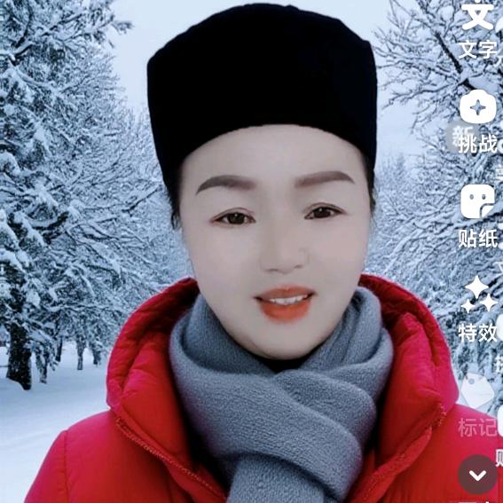 桥琴