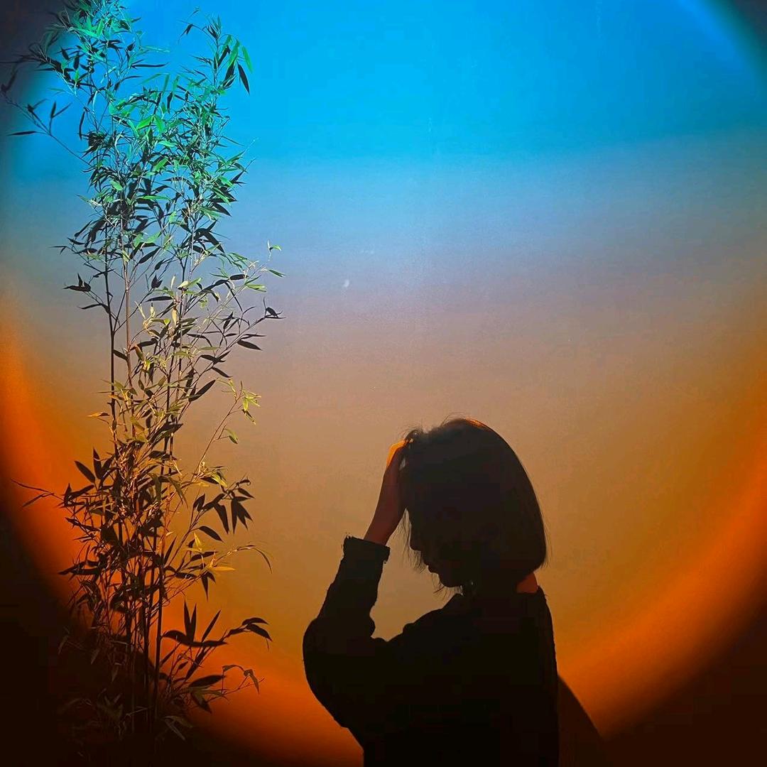 🌴你算哪块小饼干