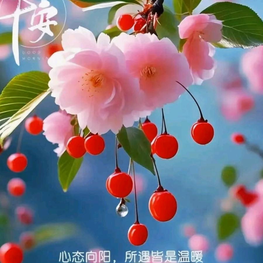 🇨🇳ོ夏有凉风