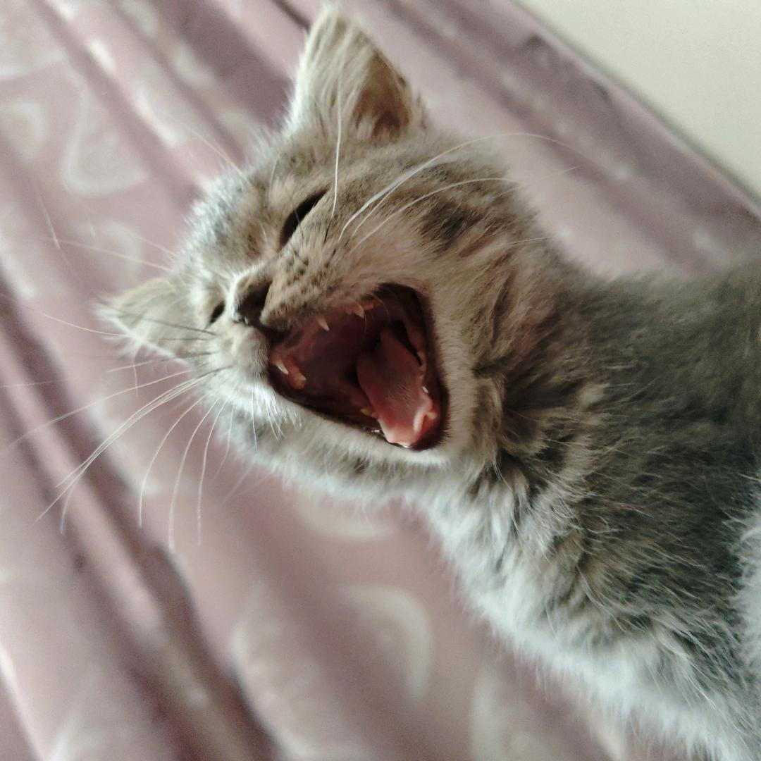 发财啦