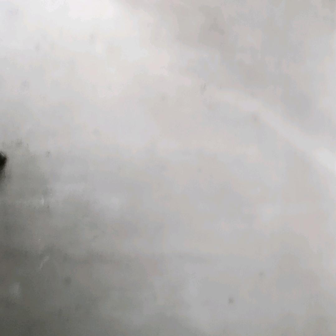 过好每一天