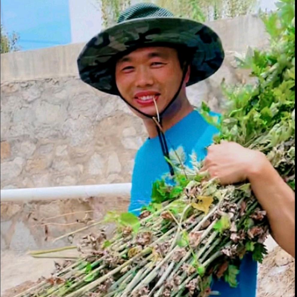 灿娃农产品（艾点燃万家艾产品）