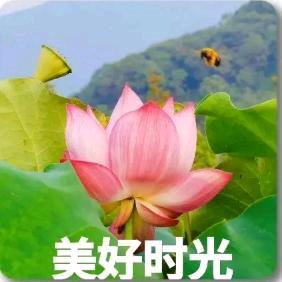 天天开心^