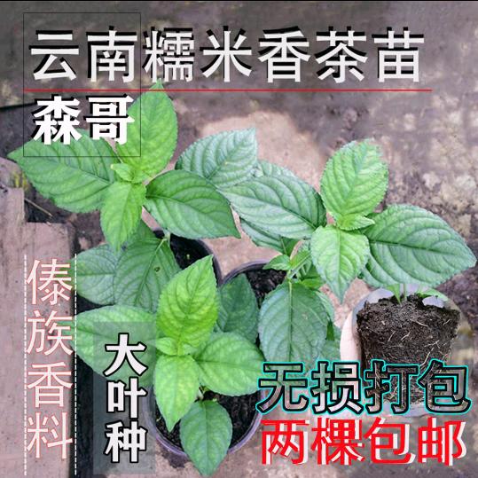 野生的三角函数