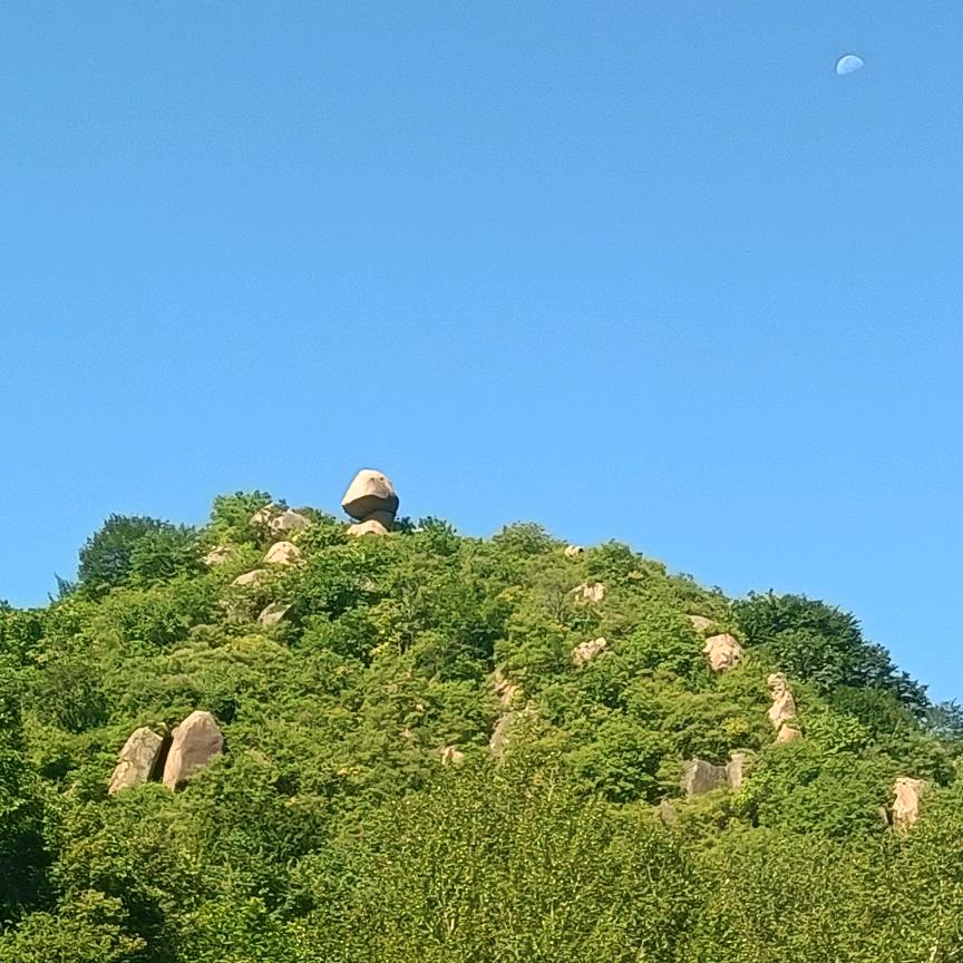 易县军哥
