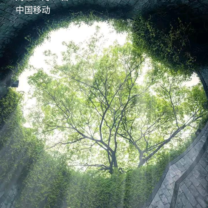 用户8421390838664