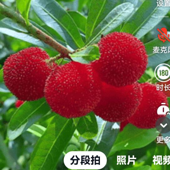 🍎 开心快乐每一天🍎