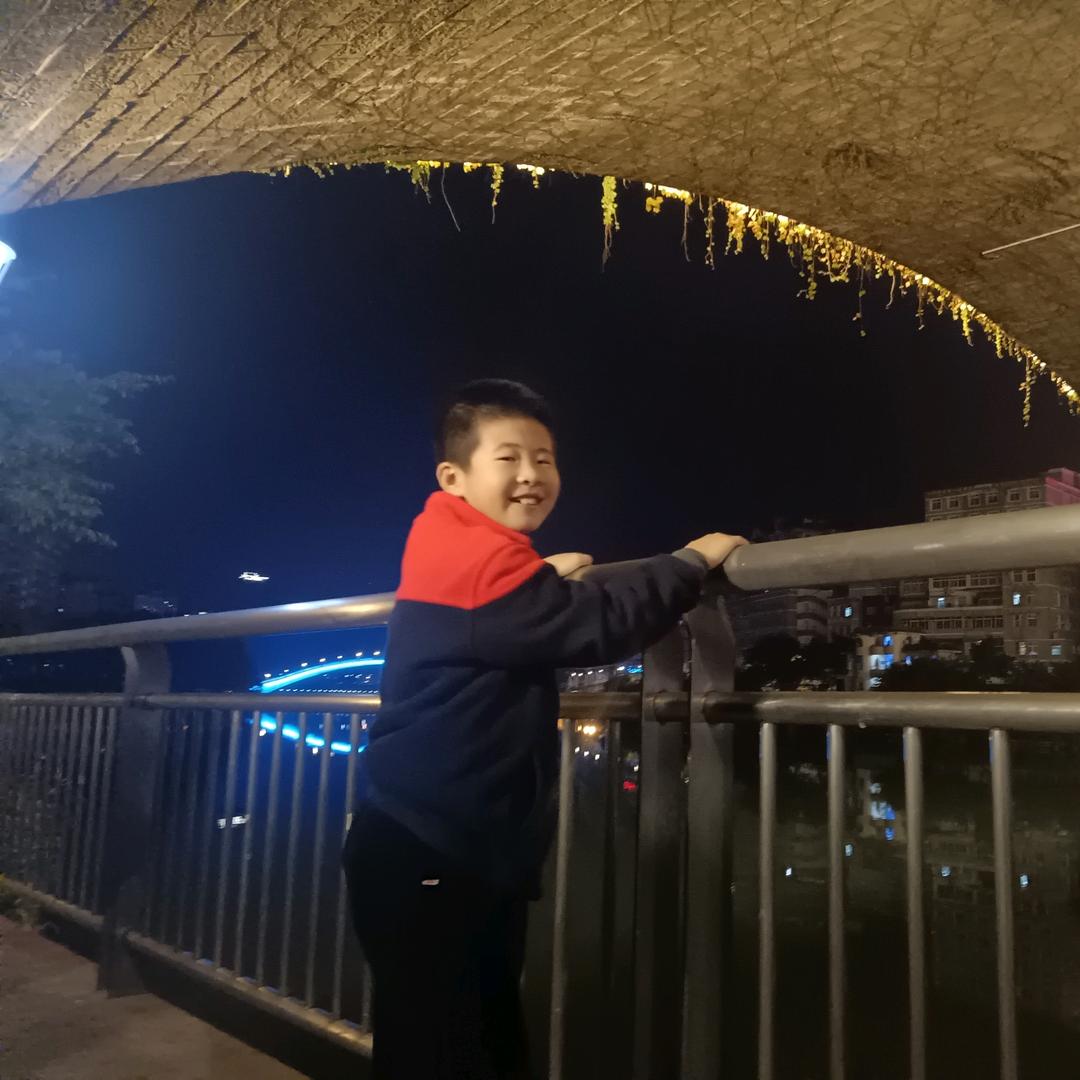 豹豹