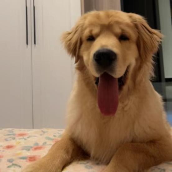 大壮（三角洲行动）