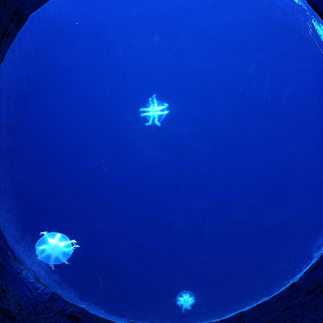 计量与验证 向木木