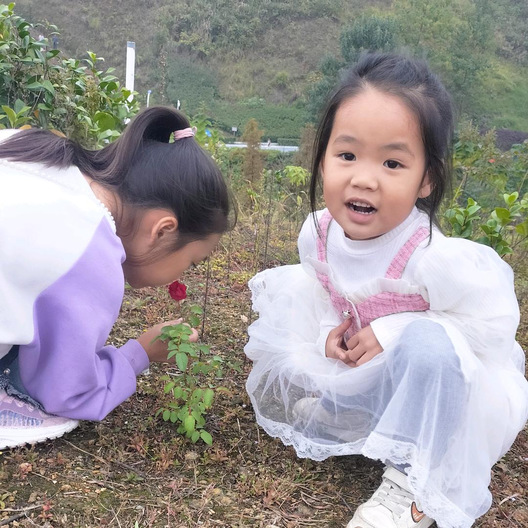 妙 豪 娅