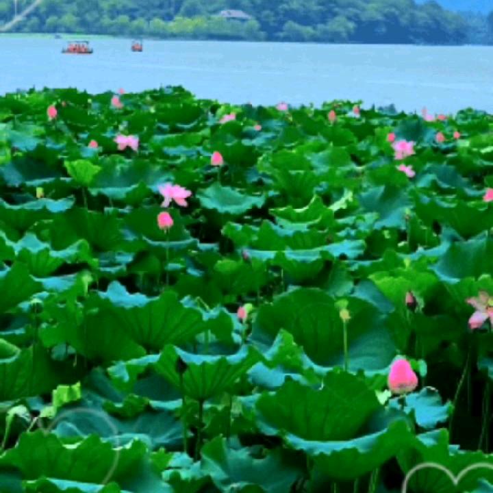 明天会更好。