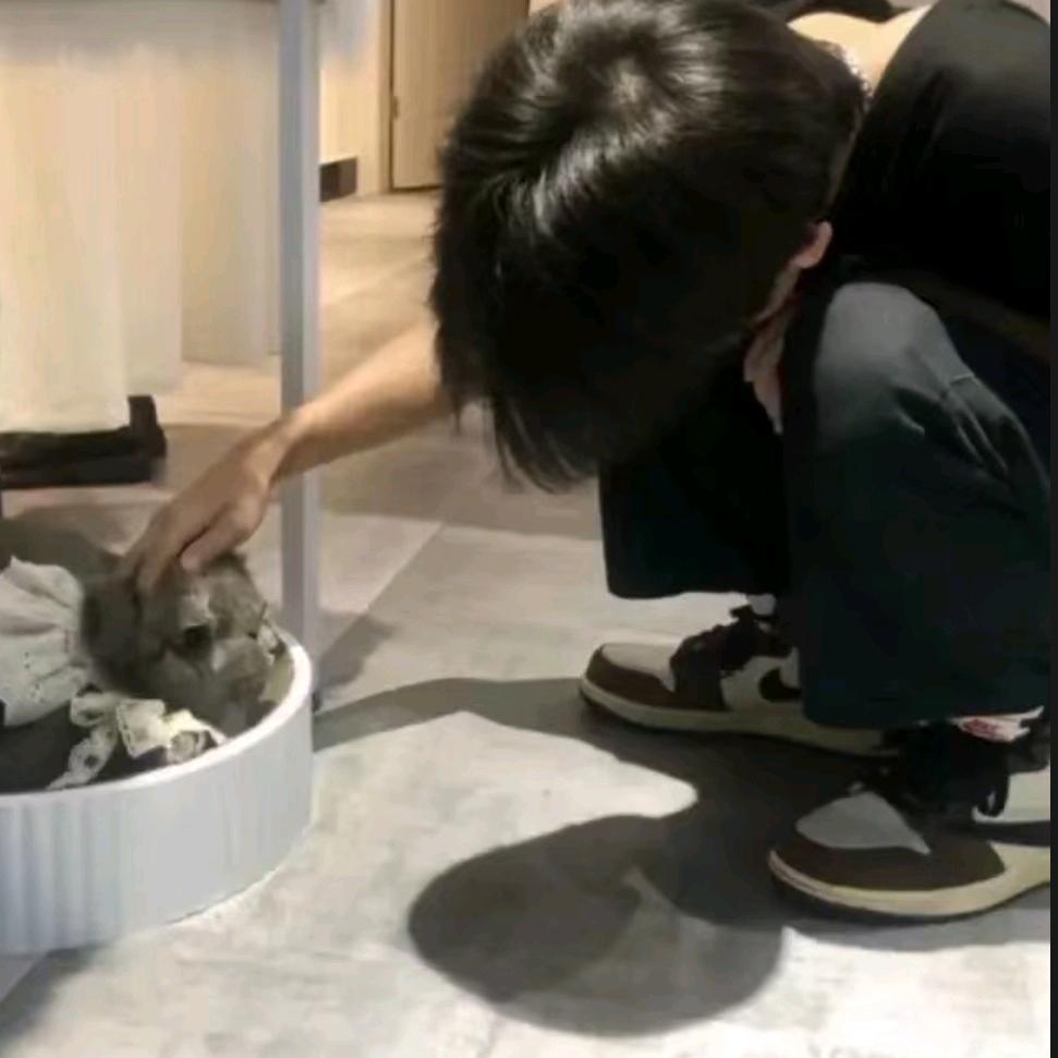 唉