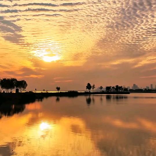 焌🇨🇳夏☀️星💫晨🍁