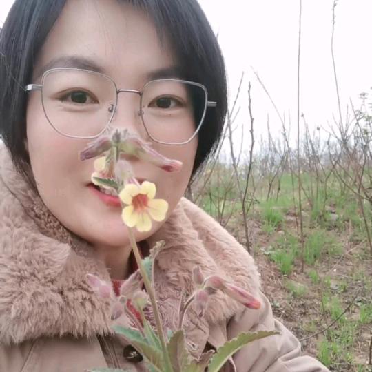 农村大妮