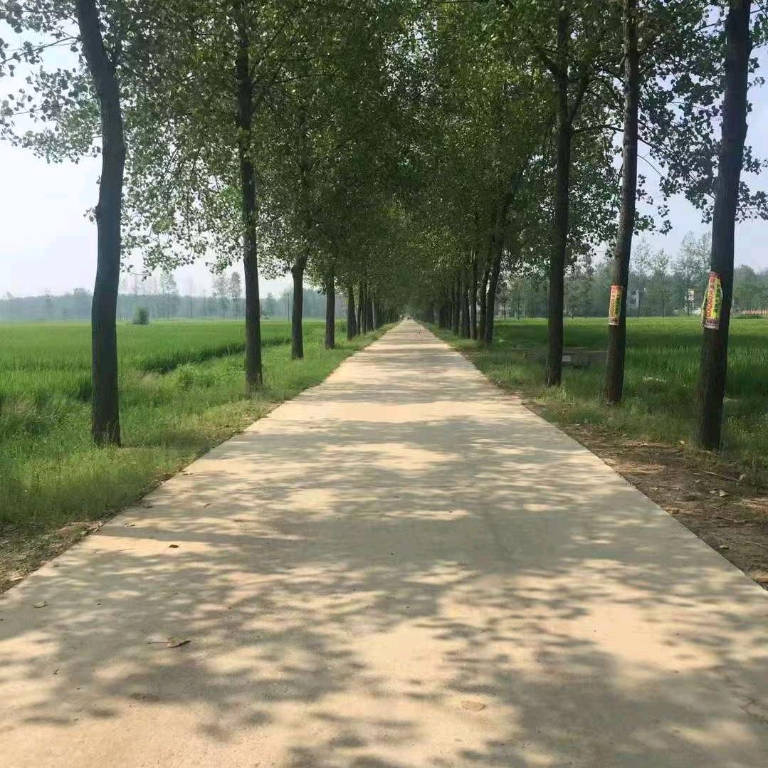 《小窝赵》