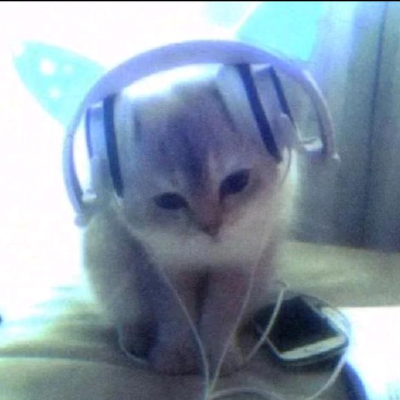 阿钦的心事日记