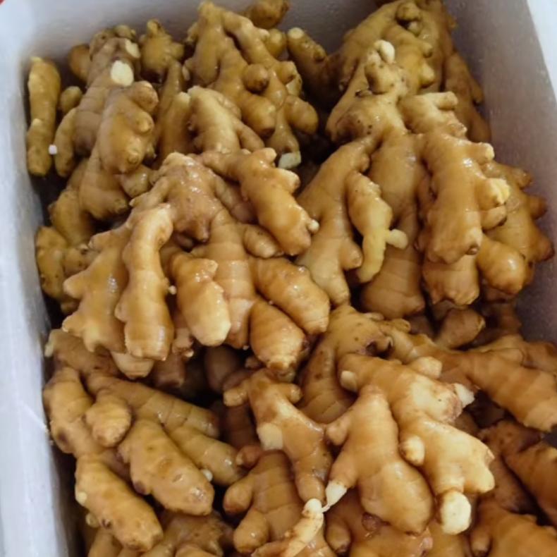 龙口生姜代办（张萍）