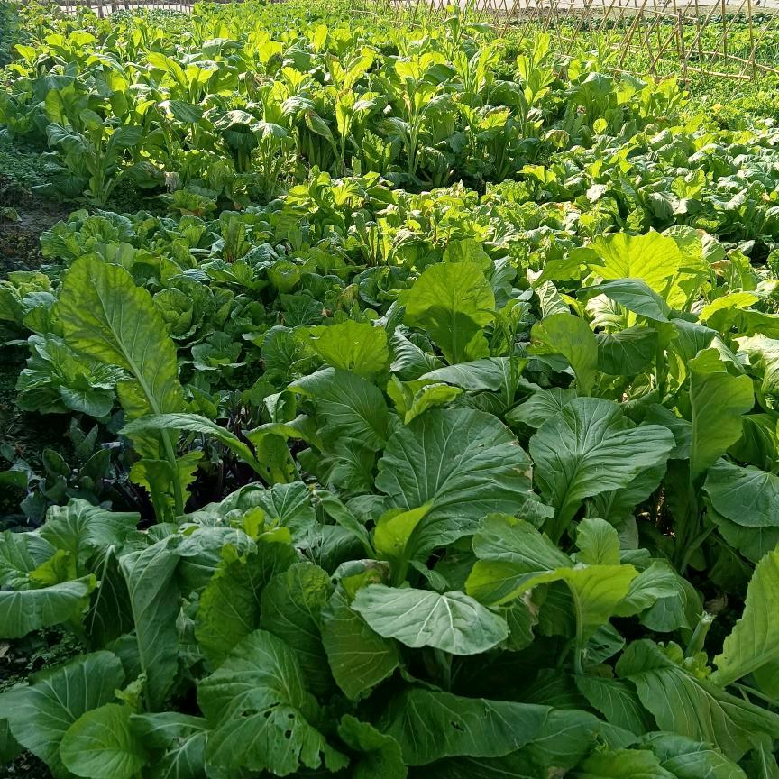 🌈一介草民🌈