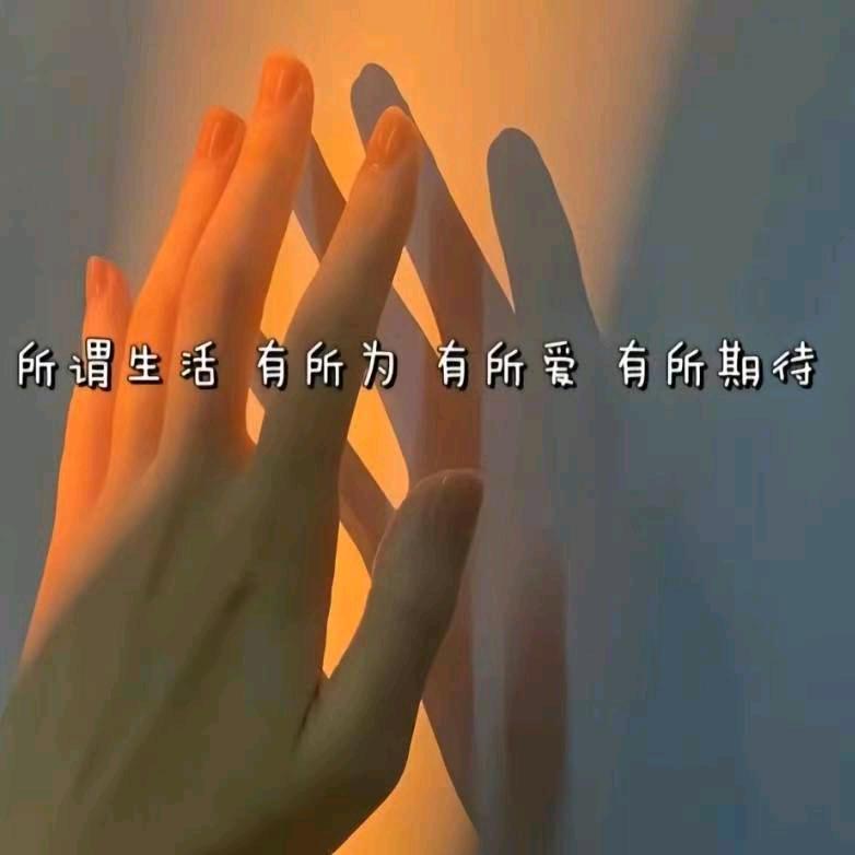 私藏一寸光