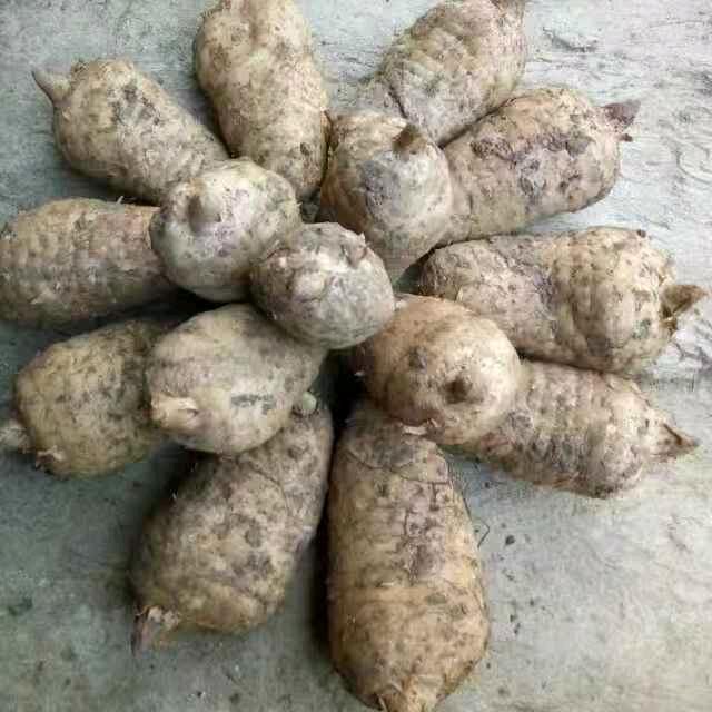 康县惠源农产品土特产